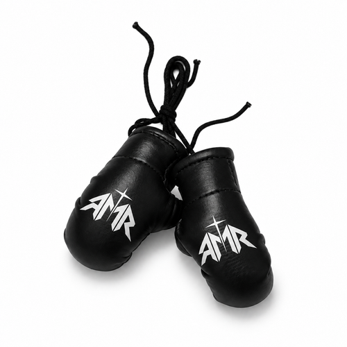 AMR Mini Boxing Gloves