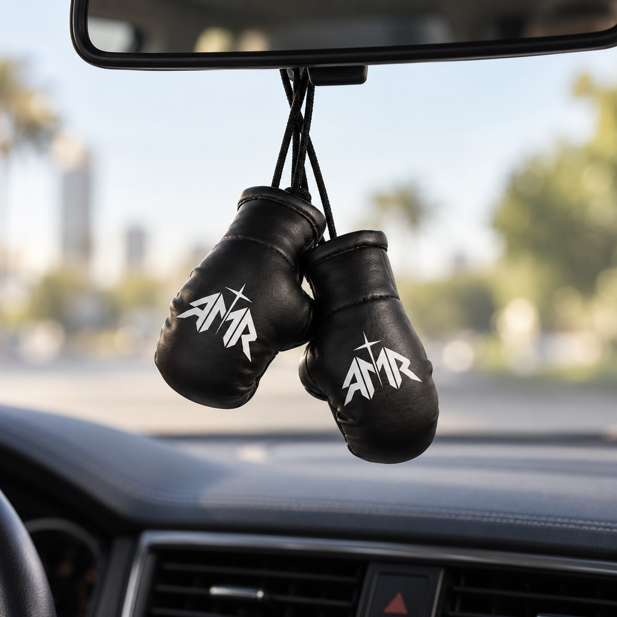 AMR Mini Boxing Gloves