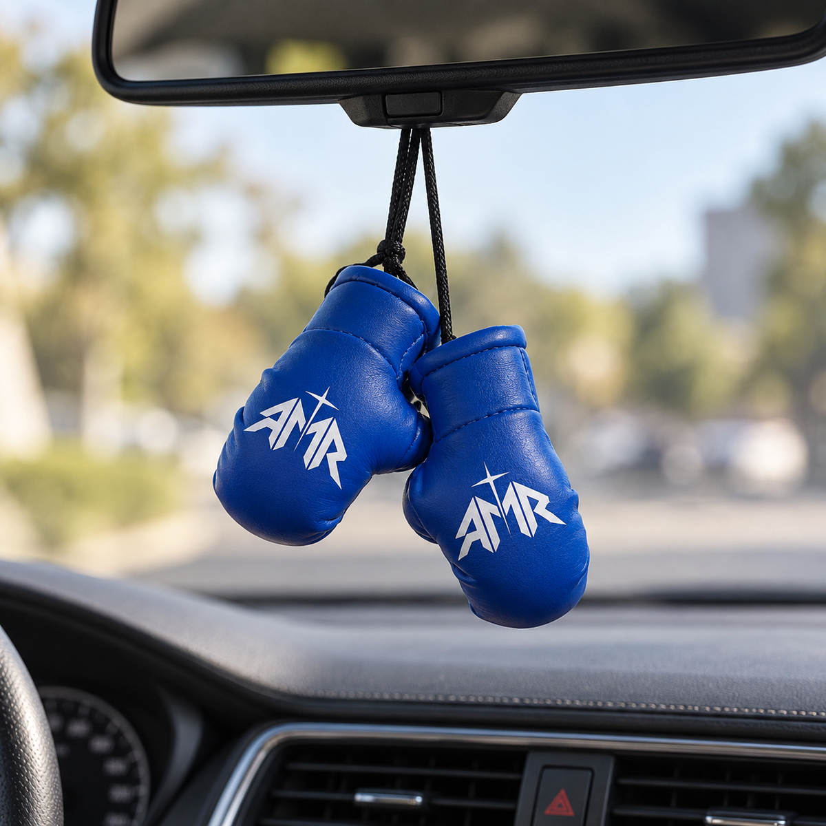 AMR Mini Boxing Gloves