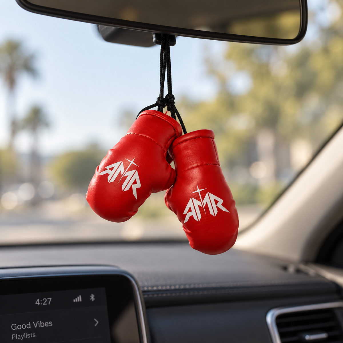 AMR Mini Boxing Gloves
